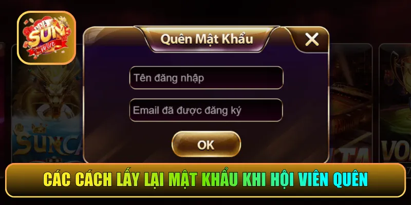 Các cách lấy lại mật khẩu khi hội viên quên